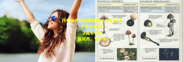 винт Беломорск