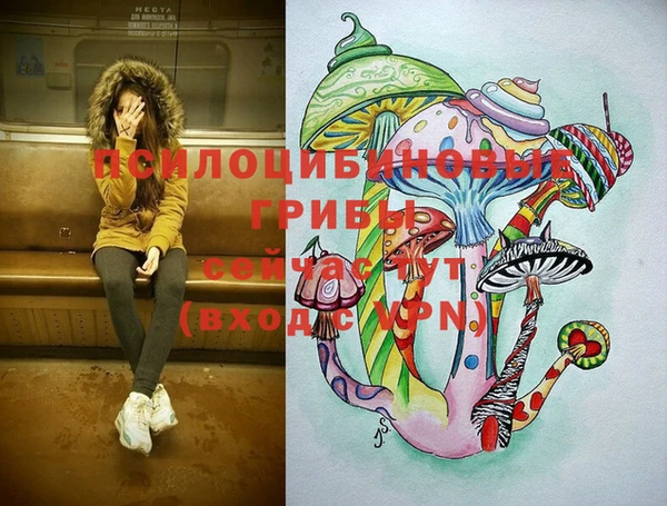меф Белокуриха