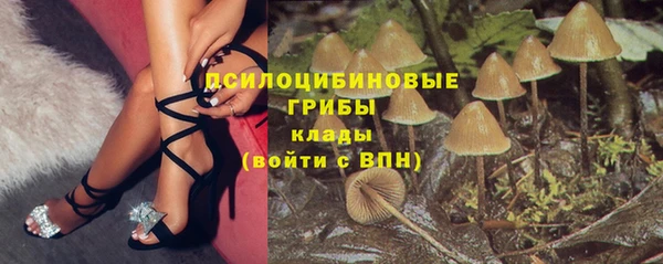 гидропоника Белоозёрский