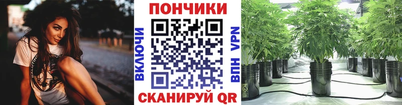 Бошки Шишки Bruce Banner  как найти   Оха 